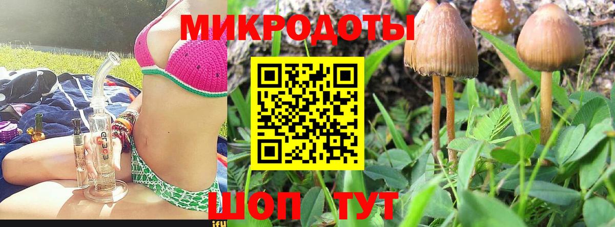 Псилоцибиновые грибы MAGIC MUSHROOMS  как найти закладки  Великие Луки  Вход с VPN 